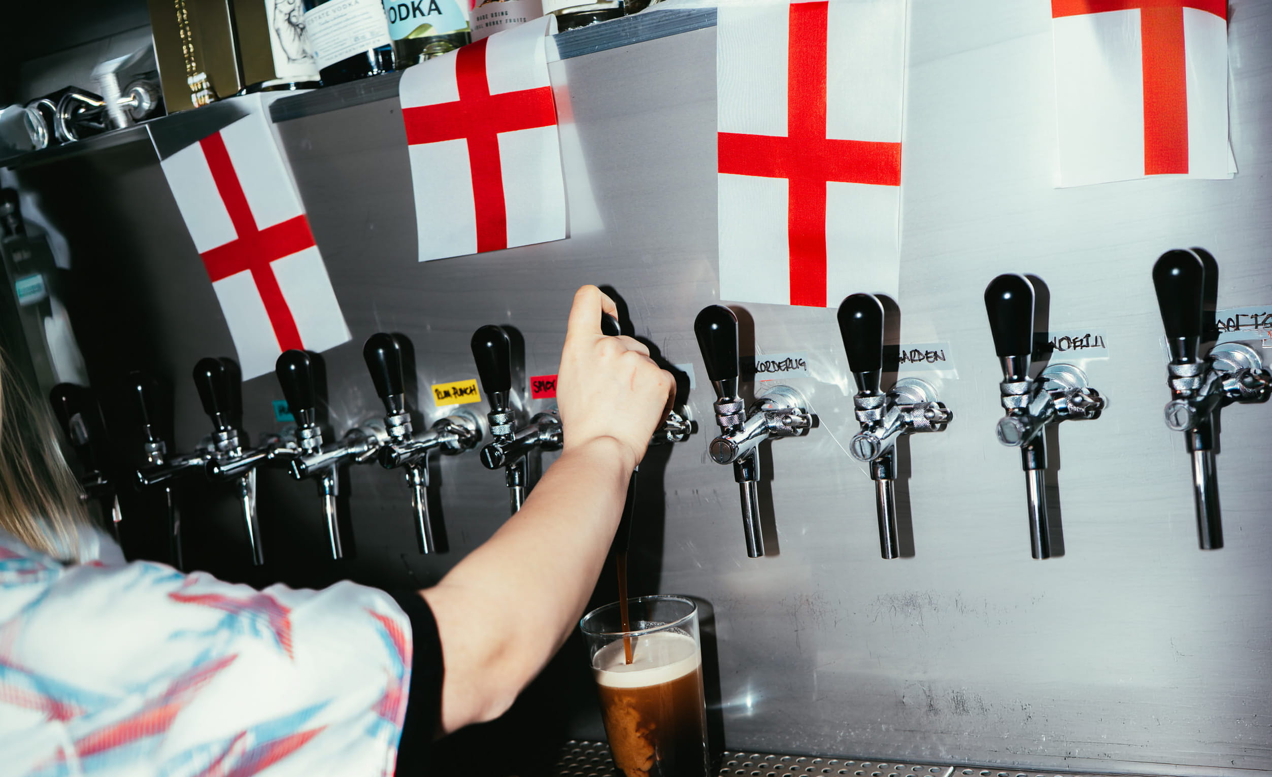 Bosnia & Herzegovina v Qatar